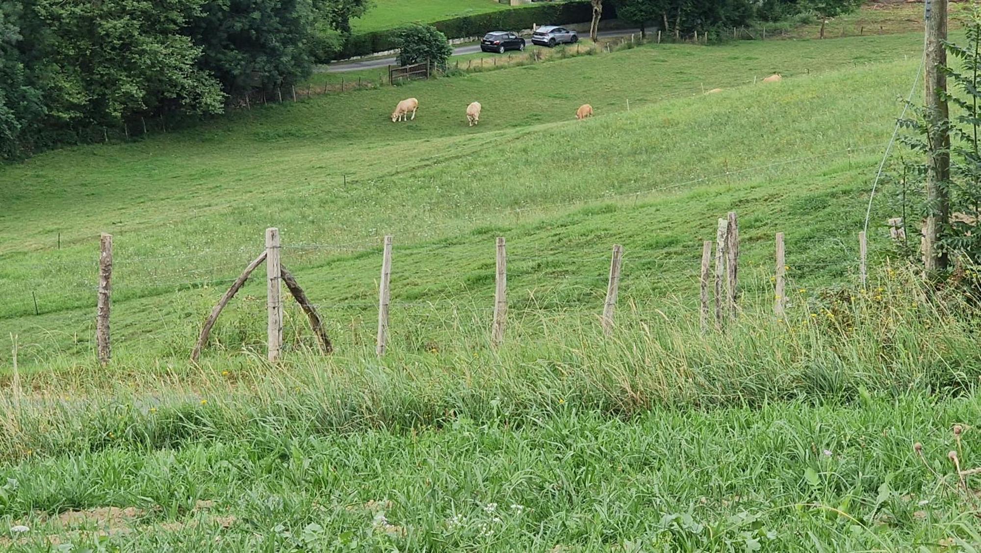 Les 3 Couronnes De Biriatou Exterior foto